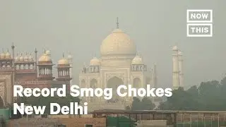 New Delhi is Choking on Record-High Smog Levels | NowThis