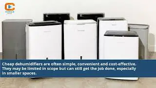 Are Cheap Dehumidifiers Any Good