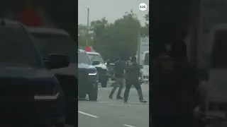 Man detained and beaten after swinging weed wacker at ICE agents