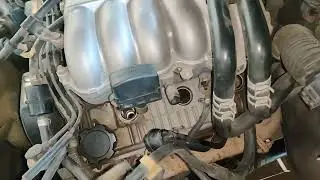 Toyota Prado land cruiser plug changing pick problem