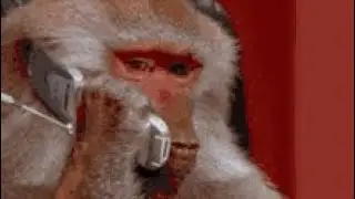 Calling 10 random people and asking the Biggest regret of Life
