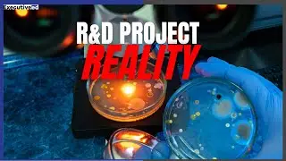 What Pharma R&D Project Managers Actually Do