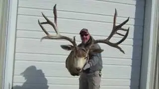 Huge 235