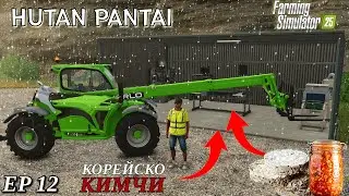РЕЦЕПТА ЗА ДОМАШНА ТУРШИЯ | Farming Simulator 25 - Hutan Pantai #12