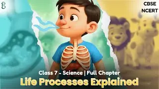 Class 7 Science | Chapter 9 | Life Processes in Animals | NCERT - CBSE