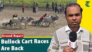 Bullock Cart Races Return to Kila Raipur Olympics in Ludhiana