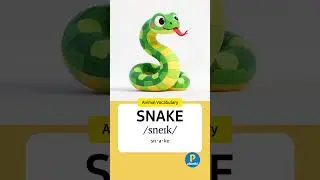 snake - Animal Vocabulary 36 #english #wordforbeginners #learnenglish