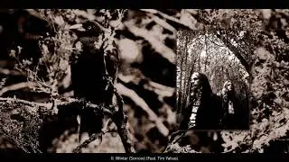 Lost In Desolation - Winter (Sorrow) (Feat. Tim Yatras) (#2 - Mourning I)