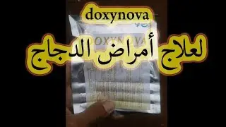 تربية الدجاج البلدي - دواء فعال وله نتائج جيدة لعلاج ووقاية الطيور من الأمراض(doxinova)