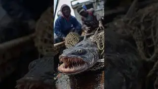 Рыбаки вытащили рыбу с зубами, похожими на человеческие, в южной части Тихого океана