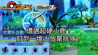 【Pok&eacute;mon gaole RUSH3彈】遭遇超硬小鹿！打到一堆人放棄排隊！五星哲爾尼亞斯【寶可夢機台】