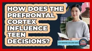 How Does The Prefrontal Cortex Influence Teen Decisions?