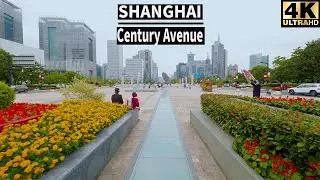 【4K】Downtown Shanghai China