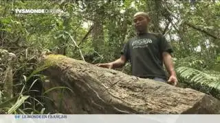 Madagascar : préserver la biodiversité en danger