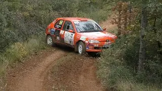 Rallye Terre De Vaucluse 2021 (Show & Mistakes)