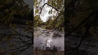 Beautiful river Ouse, York, North Yorkshire, UK.#travelblogger #nature #shortvideo #shorts #river