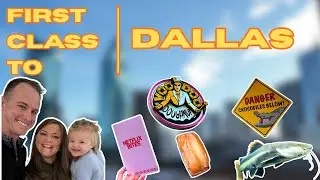 First Class to Dallas: Visiting the Dallas World Aquarium, Voodoo Donuts, and Netflix House (Day 3)