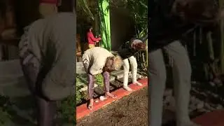 Nasal Cleansing Yoga (Jala Neti kriya) - जल नेति क्रिया