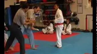 Gup Shim Sa - Side Kick