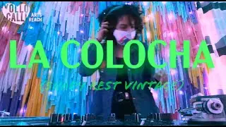 La Colocha Live Performance at La Mesita Yollocalli.