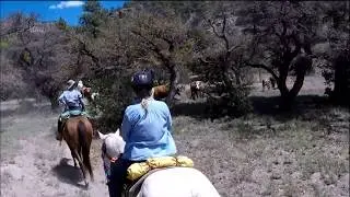 Geronimo Trail Guest Ranch:  Riding Past Docking Head Cows