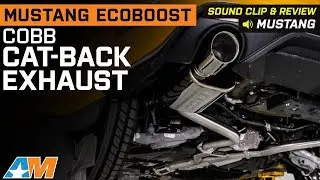 Обзор и аудиоклип выхлопной системы Mustang EcoBoost Cobb V2 Cat-Back с полированными насадками для автомобилей 2015&ndash;2023 годов