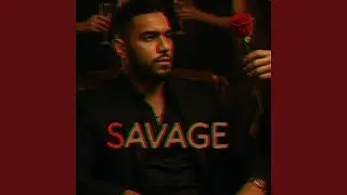 Savage 2.0 (feat. Mohabbat Singh)