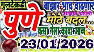 भाव वाढणार!पुणे गुलटेकडी कांदा बाजार भाव आजचे! Pune kanda market today live rate! onion market price