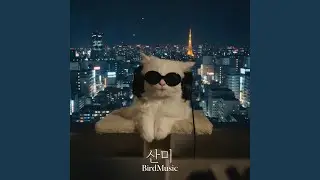 산미