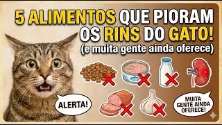 5 ALIMENTOS QUE PIORAM OS RINS DO GATO