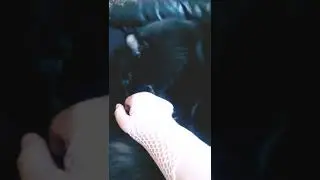 meet my cat vulcan✌️🐈