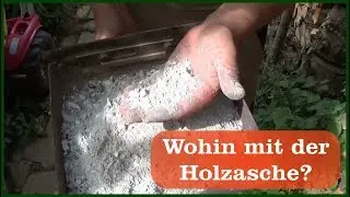 Wohin mit der Holzasche?