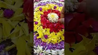 Simple Pookkalam.Onam video ideas , Instagram story reel ideas, Whatsapp status video.