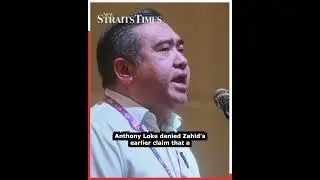 Zahid regrets 'divided DAP' comment, aligns with Loke's statement