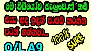 Study Tips Hard work and motivation in sinhala |පාඩම් කරන්න හිතෙන්නෙම නැත්නම් මේක බලන්න...