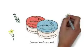 Tout savoir sur la Pommade de Marmotte aux herbes puralpina_B2B