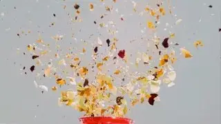 International Food Network