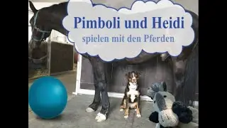 Pimboli und Heidi spielen mit den Pferden Lauter Final