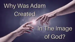 Why Was Adam Created In The Image of God?