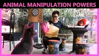 Animal Manipulation Powers (Fanmade After Effects)