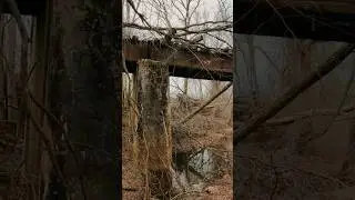 FORGOTTEN Train Bridge in the Woods