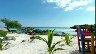 One the Beach Caribbean - Zoom, Teams, Rooms, Skype, Virtual Meeting Background