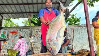 KASIMEDU 🔥 SPEED SELVAM | HUGE GIANT 28 KG TRAVELLY FISH CUTTING VIDEO | 4K VIDEO | KM FISH CUTTING 