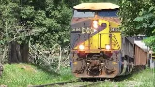 Composição de minério vazio prefixo NHE 0207 com dupla de locomotivas GE AC44i #3419-6 e #7214-4