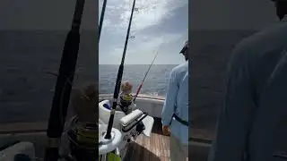 Bowie - IGFA - Morocco 