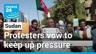 Sudan political crisis: Protesters vow to keep up pressure against military rule &bull; FRANCE 24