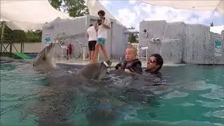 Dolphin Therapy ( Radko )