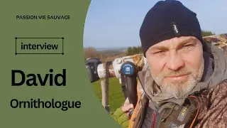Rencontre avec un passionné de vie sauvage: David, ornithologue - Meeting a wildlife lover