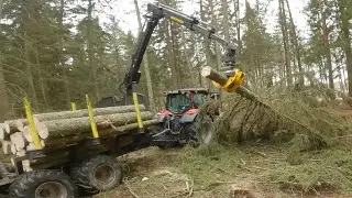 Working Together With the Forestry Tractor