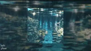 inf0 - 
